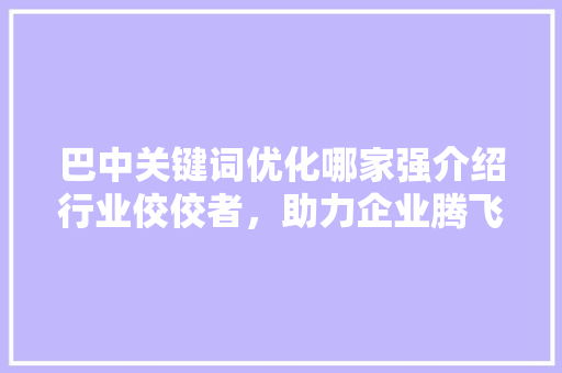 巴中关键词优化哪家强介绍行业佼佼者，助力企业腾飞