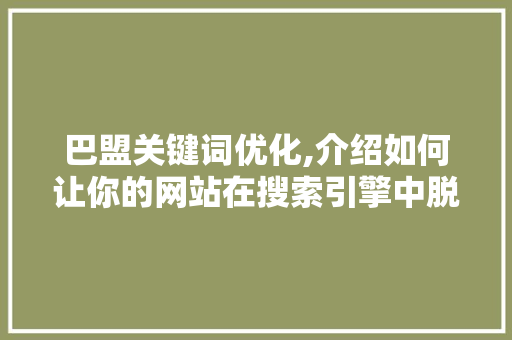 巴盟关键词优化,介绍如何让你的网站在搜索引擎中脱颖而出