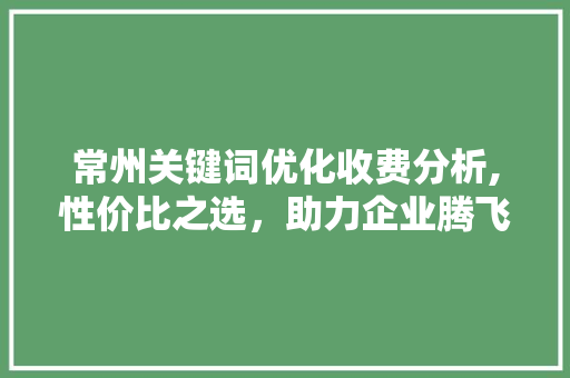 常州关键词优化收费分析,性价比之选，助力企业腾飞