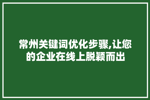 常州关键词优化步骤,让您的企业在线上脱颖而出