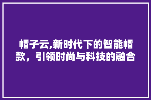 帽子云,新时代下的智能帽款，引领时尚与科技的融合