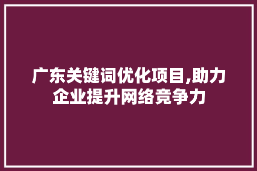 广东关键词优化项目,助力企业提升网络竞争力