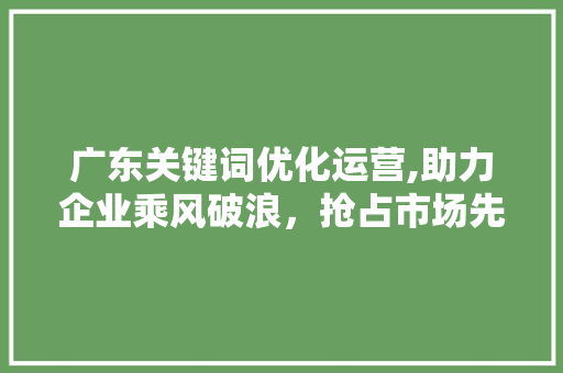 广东关键词优化运营,助力企业乘风破浪，抢占市场先机