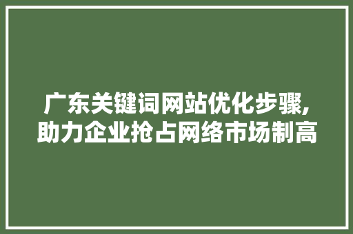 广东关键词网站优化步骤,助力企业抢占网络市场制高点