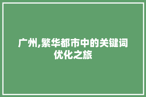 广州,繁华都市中的关键词优化之旅