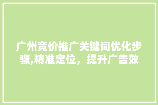 广州竞价推广关键词优化步骤,精准定位，提升广告效果