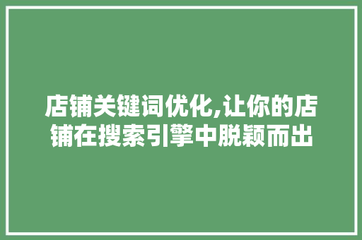 店铺关键词优化,让你的店铺在搜索引擎中脱颖而出