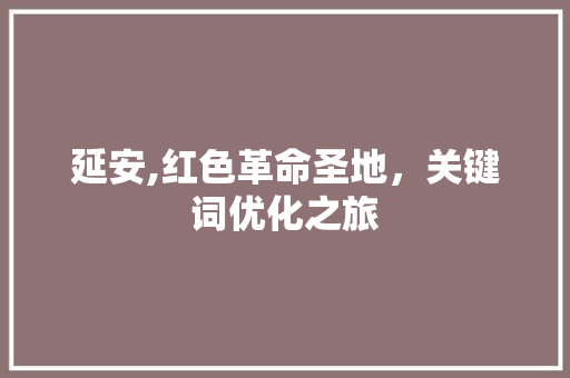 延安,红色革命圣地，关键词优化之旅