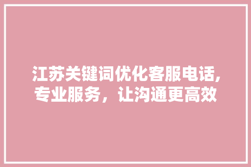 江苏关键词优化客服电话,专业服务，让沟通更高效