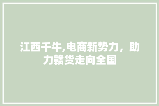 江西千牛,电商新势力，助力赣货走向全国