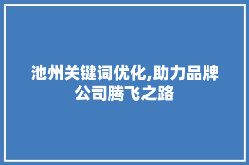 池州关键词优化,助力品牌公司腾飞之路