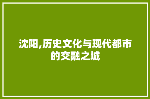 沈阳,历史文化与现代都市的交融之城