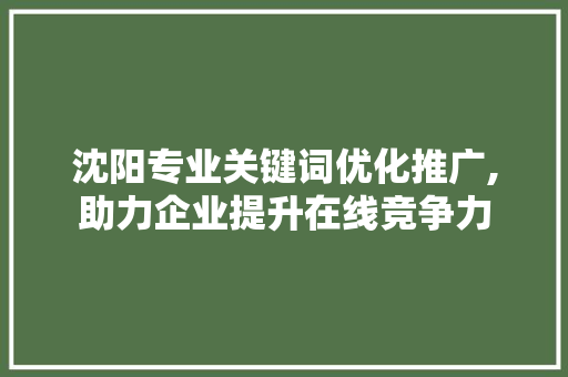 沈阳专业关键词优化推广,助力企业提升在线竞争力