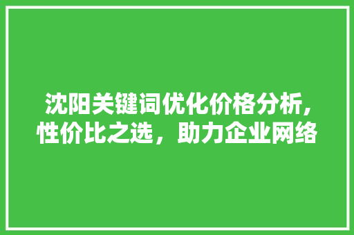 沈阳关键词优化价格分析,性价比之选，助力企业网络营销