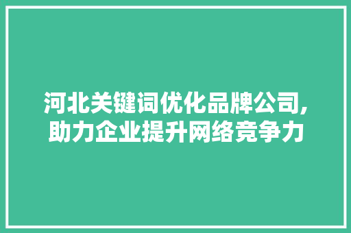 河北关键词优化品牌公司,助力企业提升网络竞争力