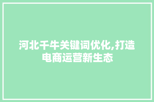 河北千牛关键词优化,打造电商运营新生态