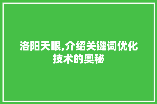 洛阳天眼,介绍关键词优化技术的奥秘