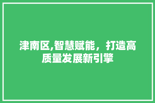 津南区,智慧赋能，打造高质量发展新引擎