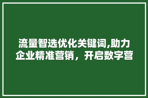 流量智选优化关键词,助力企业精准营销，开启数字营销新时代