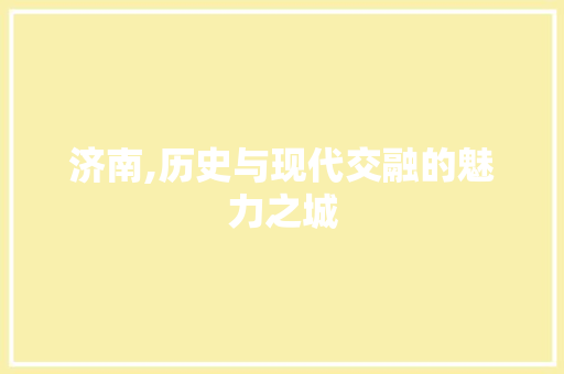 济南,历史与现代交融的魅力之城