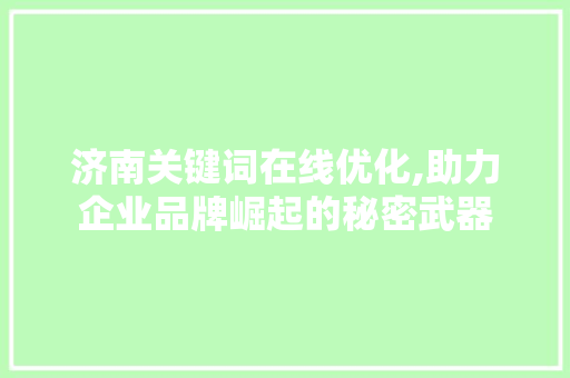 济南关键词在线优化,助力企业品牌崛起的秘密武器
