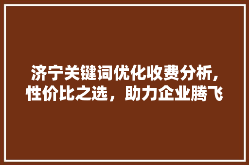 济宁关键词优化收费分析,性价比之选，助力企业腾飞