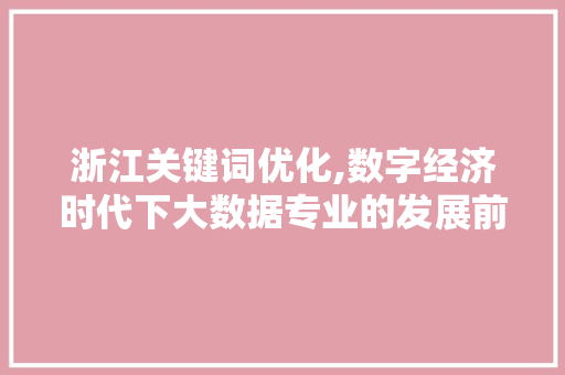 浙江关键词优化,数字经济时代下大数据专业的发展前景