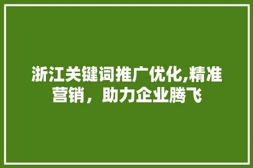 浙江关键词推广优化,精准营销，助力企业腾飞