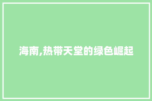 海南,热带天堂的绿色崛起