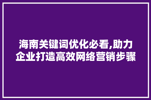海南关键词优化必看,助力企业打造高效网络营销步骤