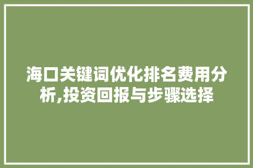 海口关键词优化排名费用分析,投资回报与步骤选择