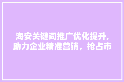 海安关键词推广优化提升,助力企业精准营销，抢占市场先机