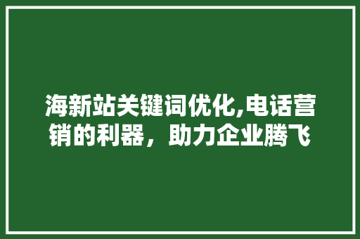 海新站关键词优化,电话营销的利器，助力企业腾飞