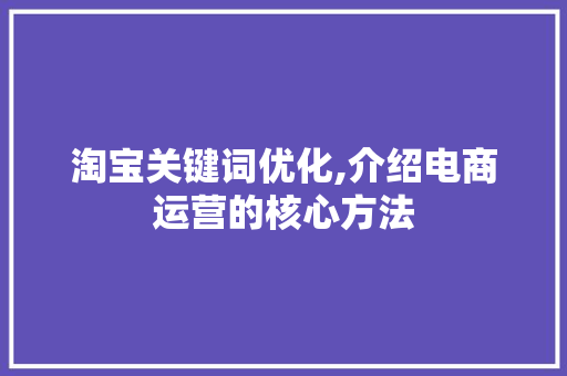 淘宝关键词优化,介绍电商运营的核心方法