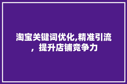 淘宝关键词优化,精准引流，提升店铺竞争力