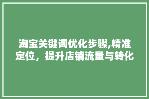 淘宝关键词优化步骤,精准定位，提升店铺流量与转化率