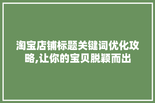 淘宝店铺标题关键词优化攻略,让你的宝贝脱颖而出