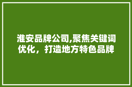 淮安品牌公司,聚焦关键词优化，打造地方特色品牌