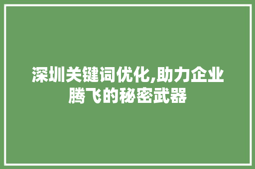 深圳关键词优化,助力企业腾飞的秘密武器