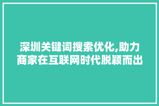 深圳关键词搜索优化,助力商家在互联网时代脱颖而出