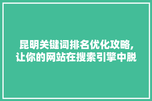 昆明关键词排名优化攻略,让你的网站在搜索引擎中脱颖而出