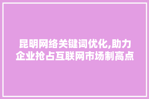 昆明网络关键词优化,助力企业抢占互联网市场制高点