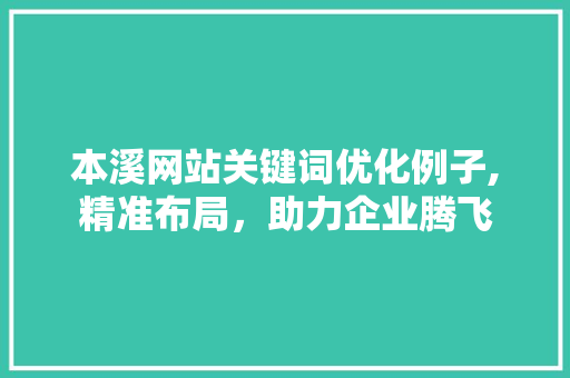 本溪网站关键词优化例子,精准布局，助力企业腾飞