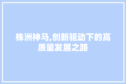 株洲神马,创新驱动下的高质量发展之路