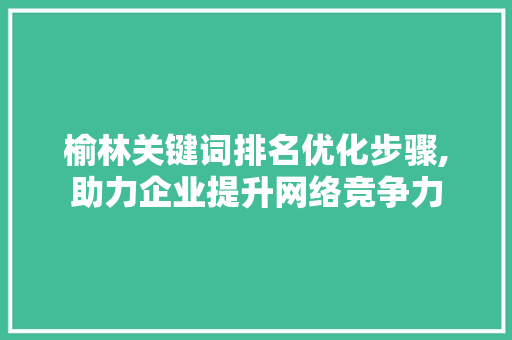 榆林关键词排名优化步骤,助力企业提升网络竞争力