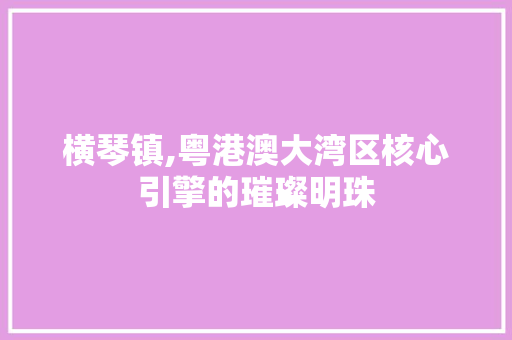 横琴镇,粤港澳大湾区核心引擎的璀璨明珠