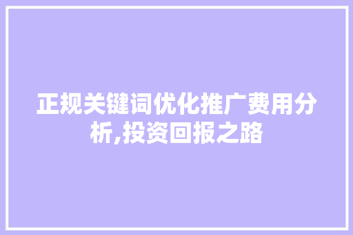 正规关键词优化推广费用分析,投资回报之路