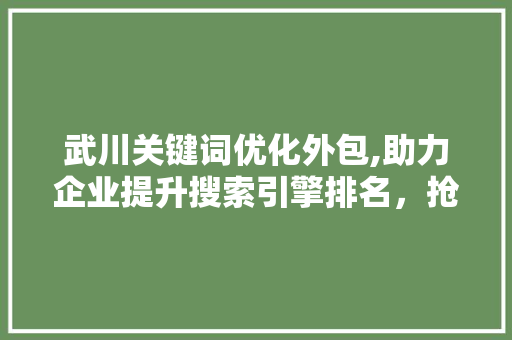 武川关键词优化外包,助力企业提升搜索引擎排名，抢占市场先机