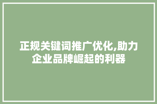 正规关键词推广优化,助力企业品牌崛起的利器