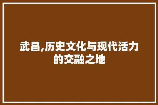 武昌,历史文化与现代活力的交融之地